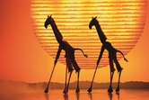 Disney_s The Lion King at the Lyceum Theatre - Deen van Meer