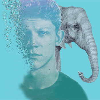The Elephant Song The Elephant Song