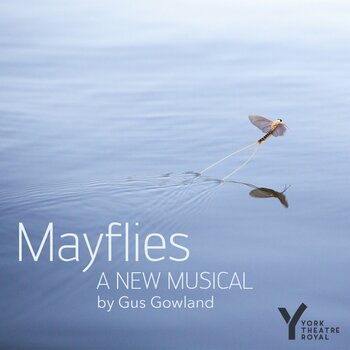 Mayflies Mayflies