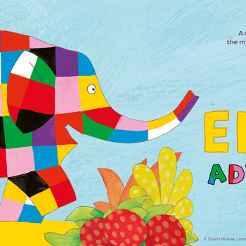 The Elmer Adventure